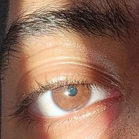Captain♉🇸🇩🇪🇬 (@thecapnocap) 's Twitter Profile