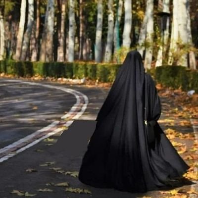 n_jahanb's profile picture. دختری از دیار بام ایران 🌄 | عاشق کودکان ❤️ | دانش‌آموخته تربیت دینی کودک و نوجوان 📚