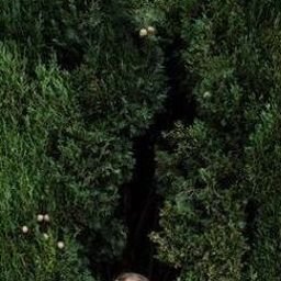 Brukis3172966's profile picture. ⚡ digging into tech stocks lover, dream chaser! craving expert chats. DM me about recession signals! 🌟 #Finance #Wealth