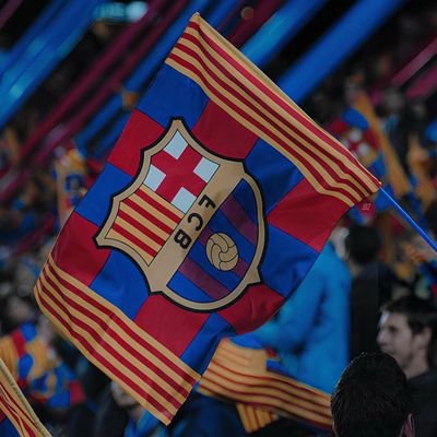 MogollonJeison's profile picture. Hola