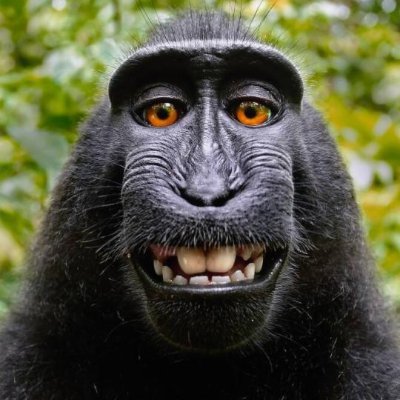 Willlee40384140's profile picture. Willie's Worm Farm