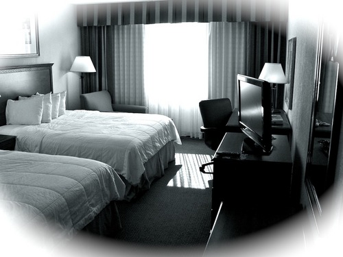 ComfortInnAtl's profile picture. Thanks for checking in! Send your praise, concerns and suggestions to the link below to ensure an appropriate response from Comfort Inn & Conference Center NE