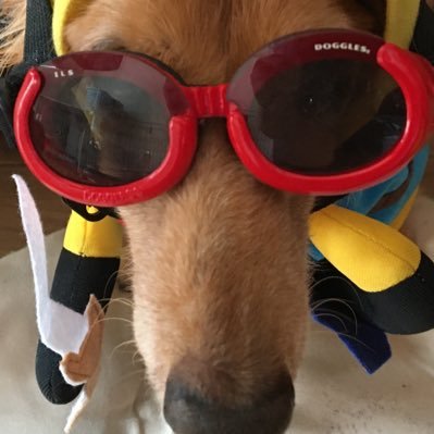 4MXQCa0HxD28406's profile picture. 