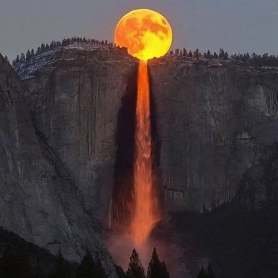 ReDsKyMaN6's profile picture.