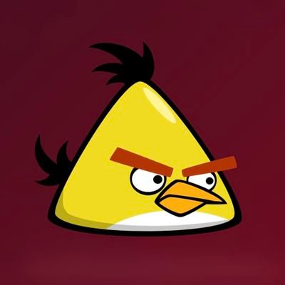 PedroMoraes28's profile picture. 