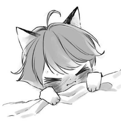 🐈さんのプロフィール画像