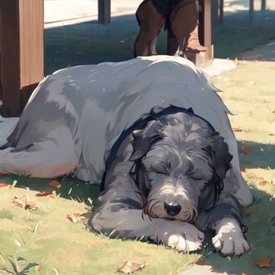 foxtailsoup's profile picture. 偽ウェールズ人。長女が不全型川崎病、冠動脈瘤→退縮。
Nos Da...