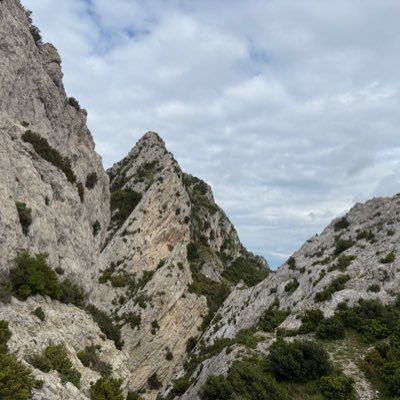 guibourgui's profile picture. 