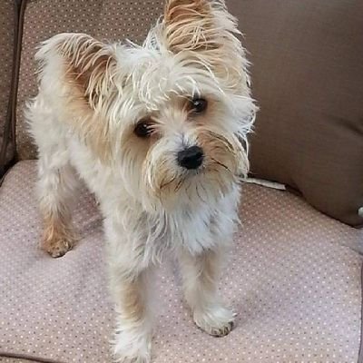 StevenKing92841's profile picture. I'm just your average middle aged nerd