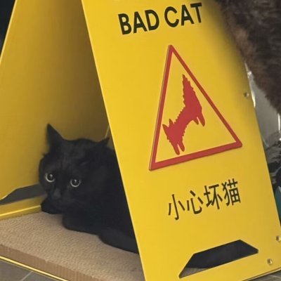 wugi耶耶さんのプロフィール画像
