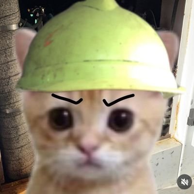 mamafrita10's profile picture. ס'איז דאך אלץ הבל הבלים