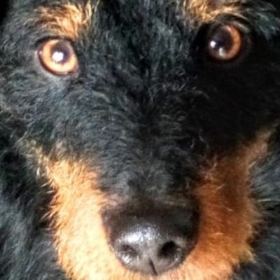 WJacko20 Profile