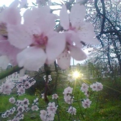 sylveefantasy's profile picture. SON OF G-DRAGON