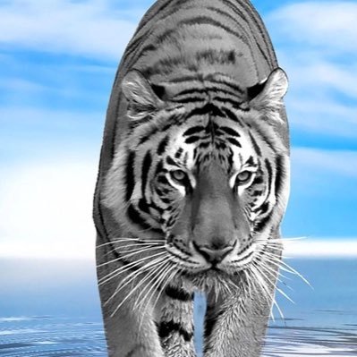 ffars7725's profile picture. 