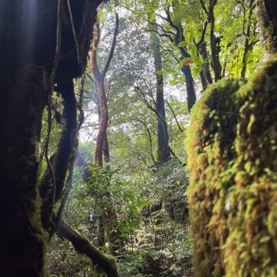 F2nIeCCcKd58707's profile picture. 