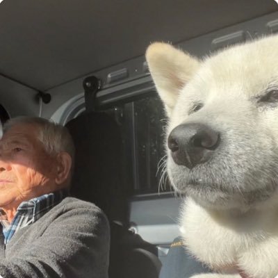 sooさんのプロフィール画像