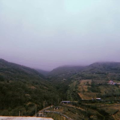 dark404ness's profile picture. no light only signals // degen explorer in shitcoinland \\ silent moves in the terminal 👇