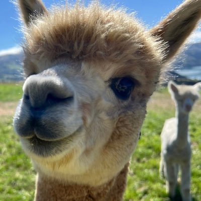 twostringeye's profile picture. living in the moment