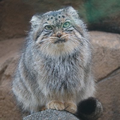 inori_minoru's profile picture. 小売業、政治経済、ポーカーなど。移民政策、5G、増税、ワク強制反対、FE、CBD、国土強靭化、MMT、天安門事件◇著書 https://t.co/8CNuv2rIpQ、iHerbコード CVG2615、https://t.co/0YAGCDt5s5、@minoru_kyoto