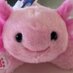snimp (@snimpsnomp) Twitter profile photo snimp (@snimpsnomp) Twitter profile photo