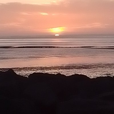 #edenbythesea the garden of paradice, left to , then along came A nigel,