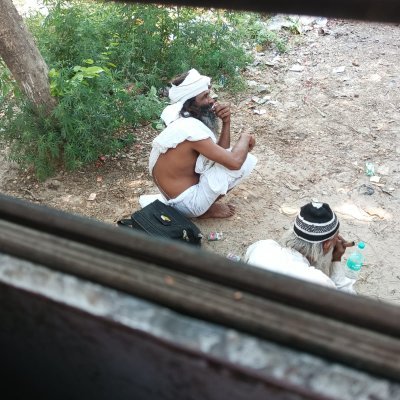 cordyceptv's profile picture. 