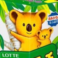 ヤッチ/TAVエリート (@yatti_tav) Twitter profile photo