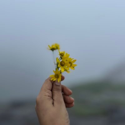 roshy_yadav's profile picture. Sanatani | Dharma First🕉️| Indian Army🇮🇳