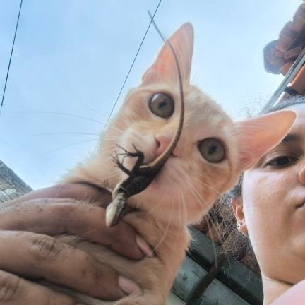 Jubaluba5's profile picture. Tendo dar o meu melhor na minha pior fase.
