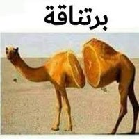 برتناقه (@5700j7) 's Twitter Profile Photo