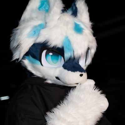 qinfurry69250's profile picture. 这里是秦秦，发点日常，也可能会发🔞