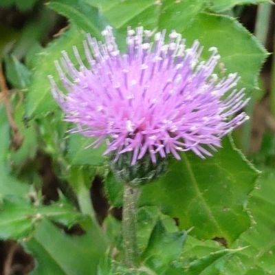 Myantal's profile picture. インターネット雑多お歌聴き。
FMの人よく聞いてるかも。
一人また一人と増えていく〜
休日は釣りに出かける人