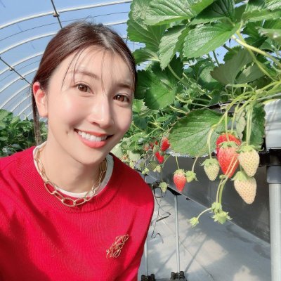 toastbrot0701's profile picture.
