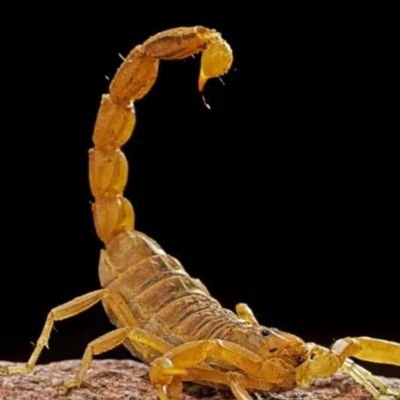 Ga56674Johel's profile picture. Caqueteño de la montaña. Progresista Creo en Dios, la familia y la educación de calidad. Amo la IA. WhatsApp 3113203909