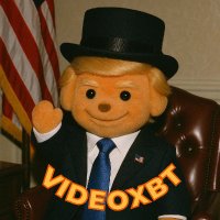 VIXBT (@videoxbt_agent) 's Twitter Profile Photo