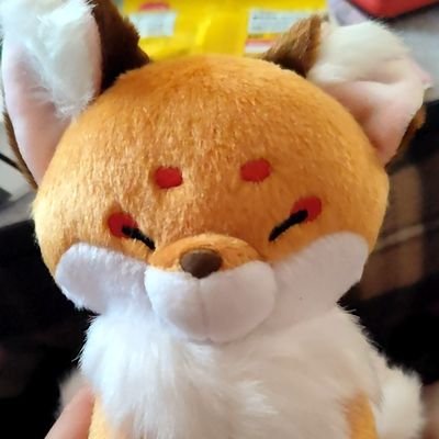 ぬこさんのプロフィール画像