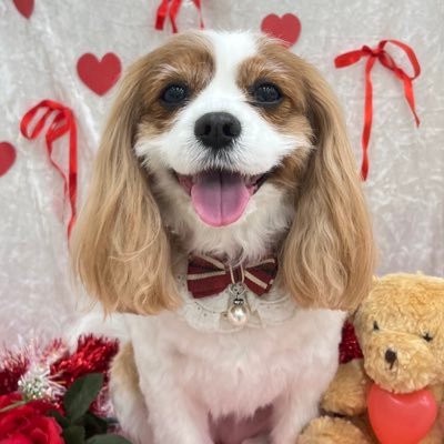 nonko_75's profile picture. 