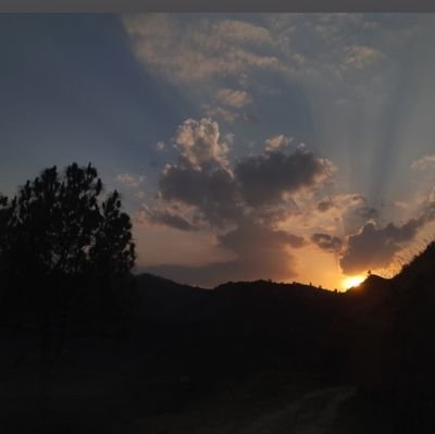 daniya1408's profile picture. 