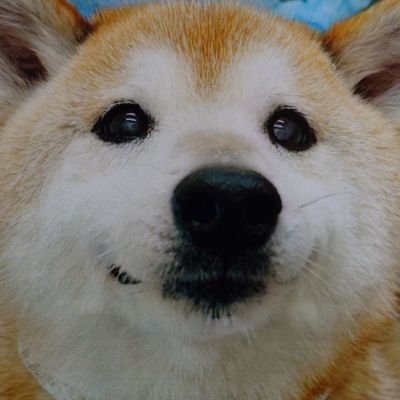 チュウ兵衛さんのプロフィール画像
