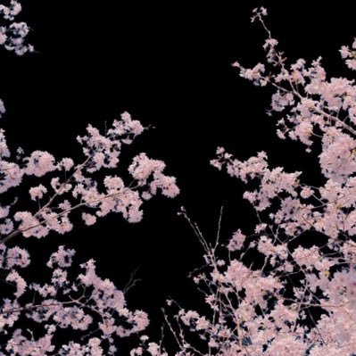 nunneo_14's profile picture. まったりのんびり