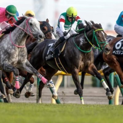 ジーツー✨憂国の競馬民さんのプロフィール画像