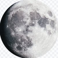 𝗠𝗼𝗼𝗻𝗿𝗼𝗼𝘁 𝗼𝗳𝗳𝗶𝗰𝗶𝗮𝗹 (@moonrootvalley) 's Twitter Profile
