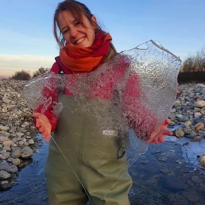 Postdoc at Turin University, Alpstream group. Working on community ecology of aquatic invertebrates in lotic systems.