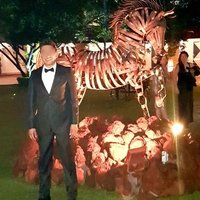 MASSIMO (@r15jgl5541) 's Twitter Profile