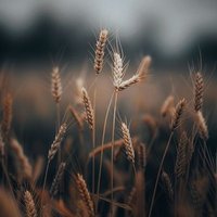 Am (@smaram349381) 's Twitter Profile