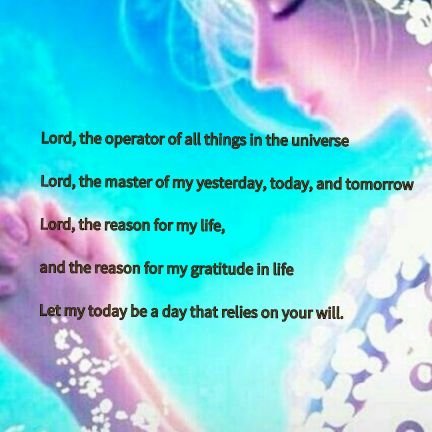 ae53408's profile picture. 🇰🇷