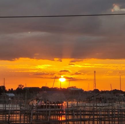 DarkWatcher0123's profile picture. 