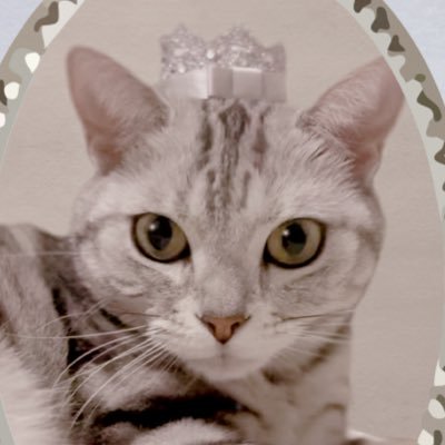 ミブさんのプロフィール画像