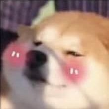 poisonsan_tf's profile picture. she/her