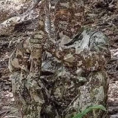 cehennemi bir yerde doğdum. vicdani bütünlüğü hakk etmeyenler , hakk ettikleriyle karşılaşmalıdır öğrencisiyim.